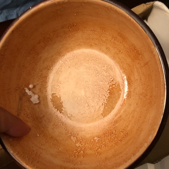 Rare Cardinal Mooselodge 2 pc Chip&Dip Set! - Picture 7 of 9